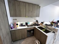 Leedon Green (D10), Condominium #486629171